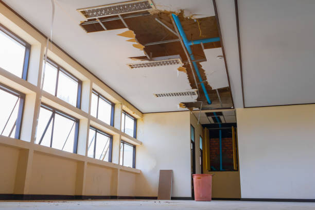 Best Professional water damage repair  in West Puente Valley, CA