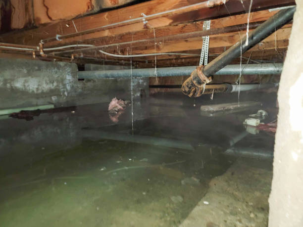 Best Ceiling water damage repair  in West Puente Valley, CA