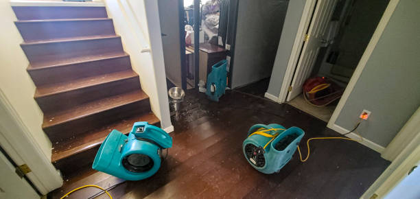 Best Water damage contractors near me  in West Puente Valley, CA