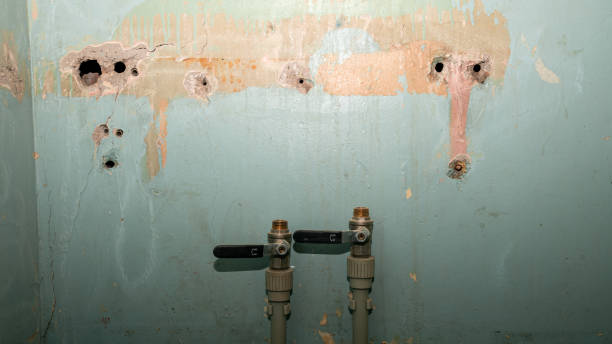 Best Fire Damage Restoration  in West Puente Valley, CA